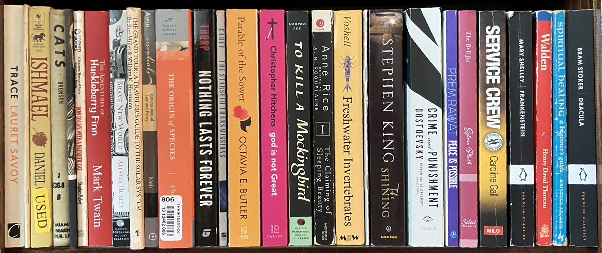 Shelf 4 Zoom